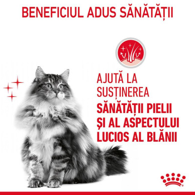 Royal Canin Hair & Skin Care – Hrană Umedă Premium pentru Pisici, în Sos, pentru Piele și Blană Sănătoasă, 85 g